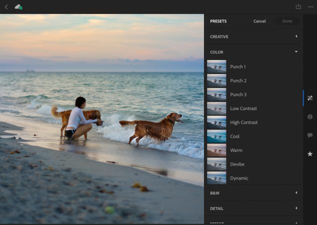 how to use presets on lightroom mobile