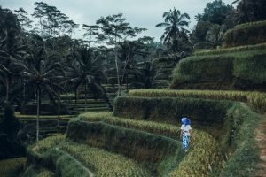 Adventure Awaits In Bali