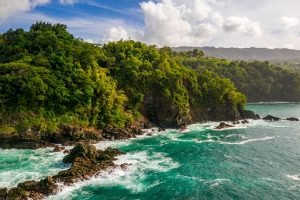 Raja Ampat: Paradise Found in Indonesia