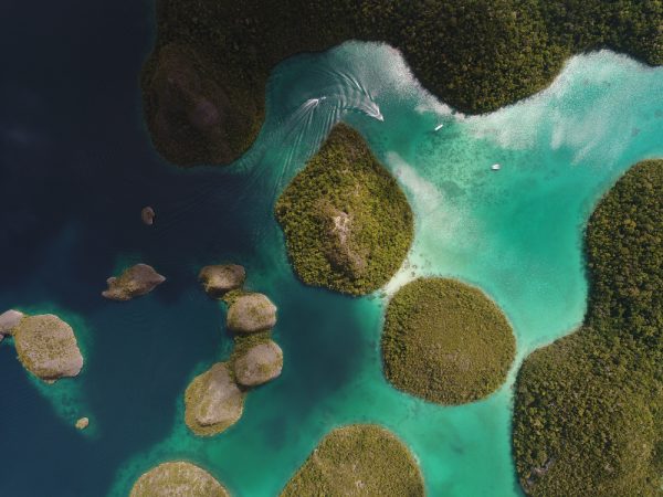 Raja Ampat: Paradise Found in Indonesia