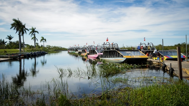 Discovering the Best Hidden Gems in the Everglades