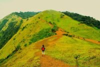 A Trekker's Paradise: Kodachadri's Majestic Trails