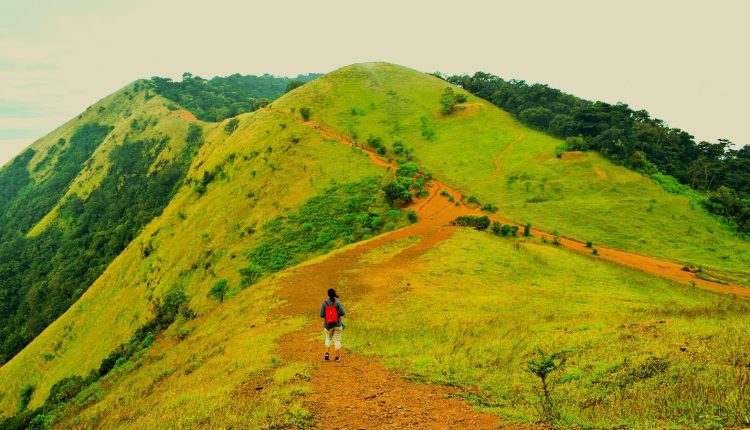 A Trekker's Paradise: Kodachadri's Majestic Trails