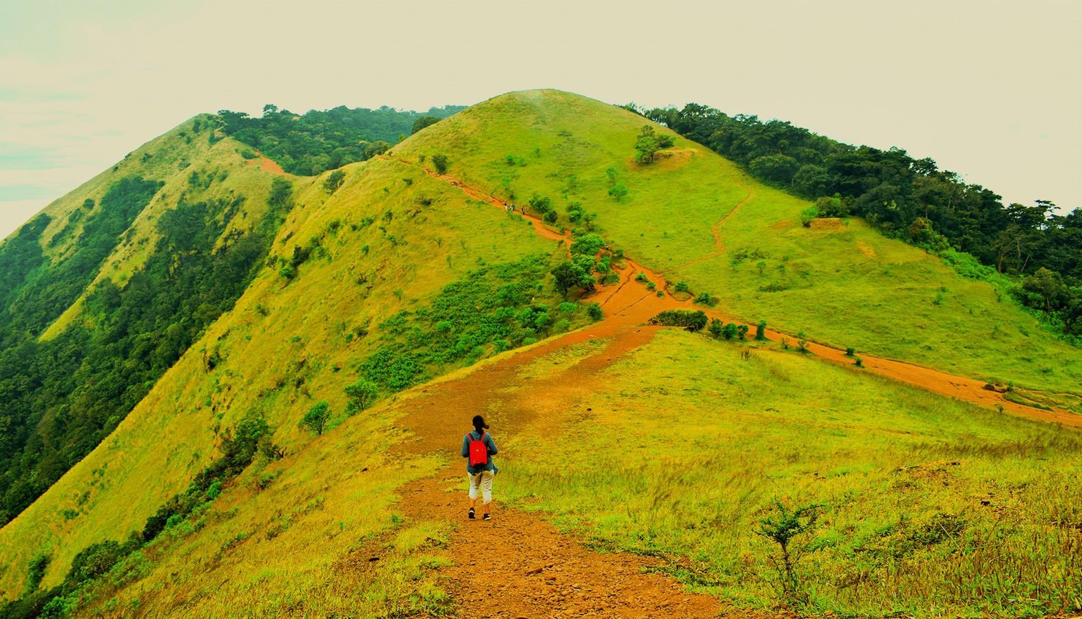 A Trekker's Paradise: Kodachadri's Majestic Trails